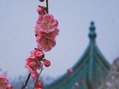 -无锡梅园公园