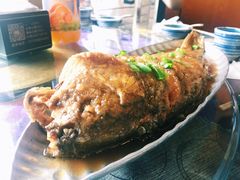-95号酱骨·一块豆腐(展春园西路店)