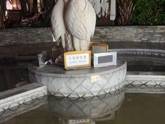 -碧水湾温泉