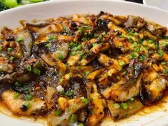 招牌焗叉尾鱼-美极鲜食坊(宝安南路店)