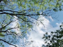 -森林公园(尖草坪区)