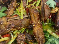 -听涛雅苑百味饺子老家菜馆