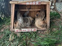 -乐和乐都主题乐园