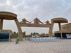 -金塔沙漠胡杨林景区