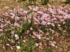 -汉长安城未央宫国家考古遗址公园