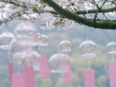 -杭州少年儿童公园