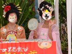 -世界恐龙谷景区