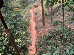 -清迈丛林飞跃 JungleFlight