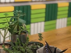 -Green Option(官舍店)