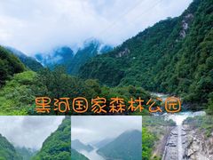-黑河国家森林公园