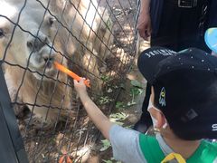 -长白岛森林公园