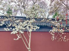 -钱王祠