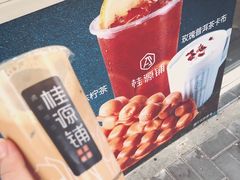 桂妃榛果特调奶茶-桂源铺奶茶店(湟普汇店)