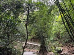 -火炉山森林公园