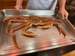 -綱元·海鲜豆捞(明州里店)