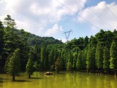 -广州市帽峰山景区