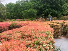 -东莞植物园