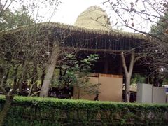 -三圣花乡旅游区