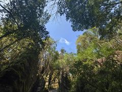 -梭布垭石林景区