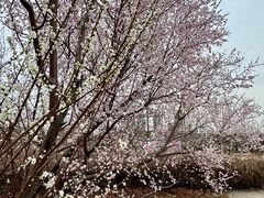 -天津梅江会展中心