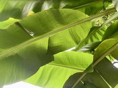 -求雨山文化公园