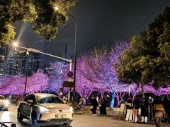 -西北湖绿化广场
