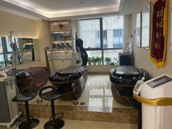 -碧莲盛·不剃发植发