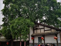 -后柳水乡