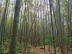 -鸡枕山