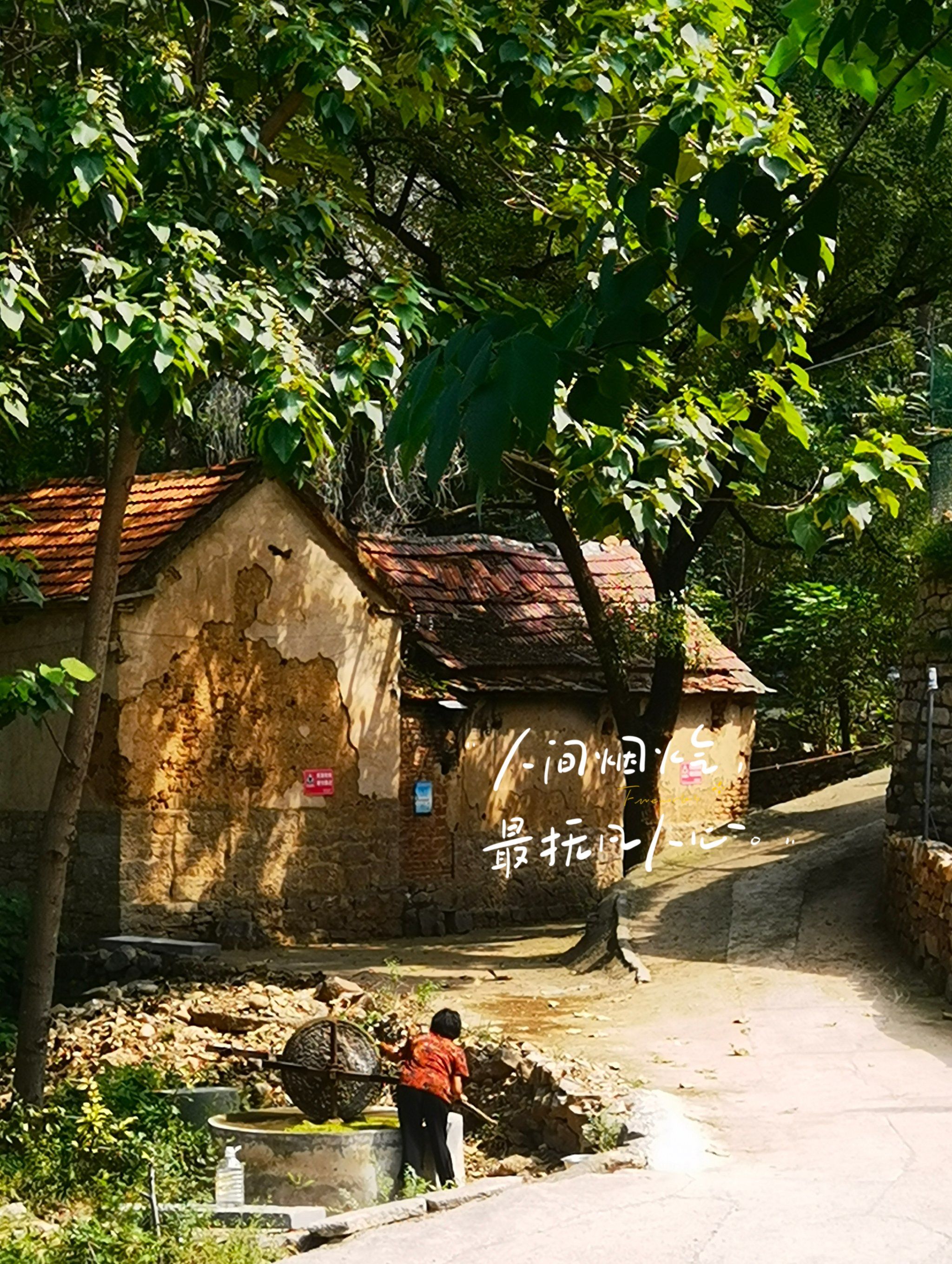 老山村▪石碾子