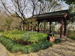 -杭州半山国家森林公园