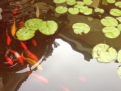 -杭州海华满陇度假酒店