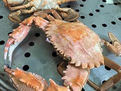 -九层海鲜塔(市南店)