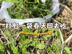 -嘉北郊野公园