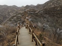 -大岭沟猕猴桃谷风景区