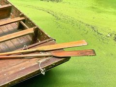 -渌洋湖湿地公园