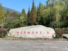 -习家池