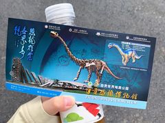 -自贡恐龙博物馆