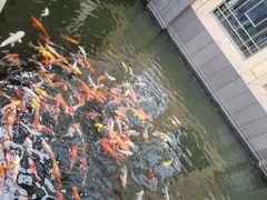 -番禺宾馆丽苑厅