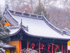-灵谷景区
