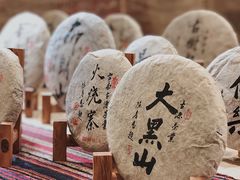 -南宁国际会展中心(会展东博文化旅游区)