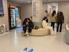 -上海大学附属上海和平眼科医院
