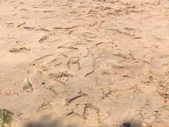 -温岭石塘海边