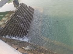 -苏州湾体育公园