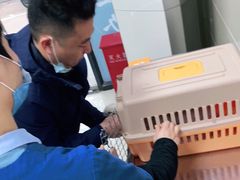 -申普宠物医院·眼科·心内科·影像科(普陀分院)