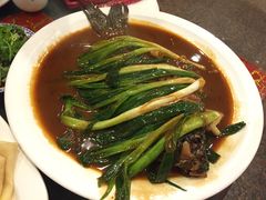 -丁老爷子苏香圆