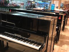 -柏斯音乐艺术中心·钢琴·吉他(世纪金源店)