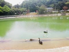 -广州市帽峰山景区