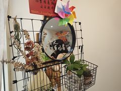 -吃饼人西餐(南开店)