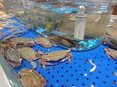 -陈家小院(阜昌路店)